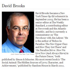 david-brooks-bio