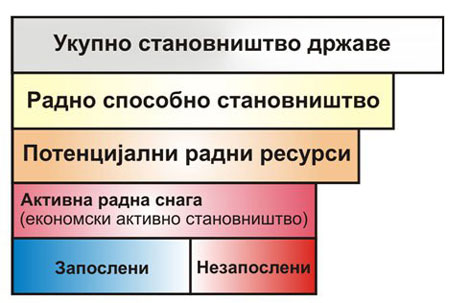 Графика: „dvogled.rs“ (Напомена: РЗС статистички не обрађује запослене у органима безбедности)