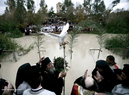 Бели голуб слеће на жезло јерусалимског патријарха Теофила, током освештавања воде на реци Јордан 18. 1. 2015. (Извор: Фејсбук страница „Свети Нектарије Егински“)