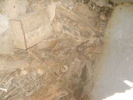porec-12