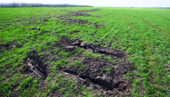 mesto-pada-helikoptera-ras-