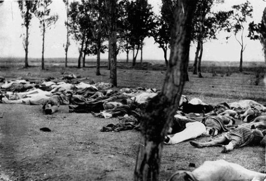 Жртве геноцида над Јерменима, јерменска област Анатолије 1915.