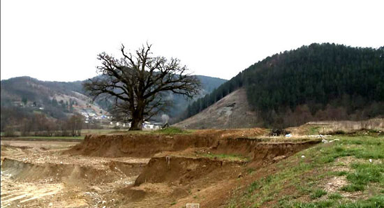 hrast-zapis