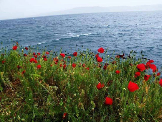 Галилејско језеро