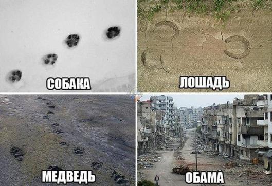 pas-medved-obama