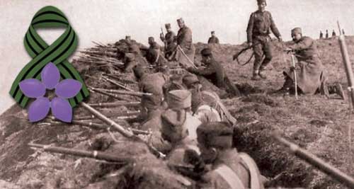 natalijina-ramonda-500