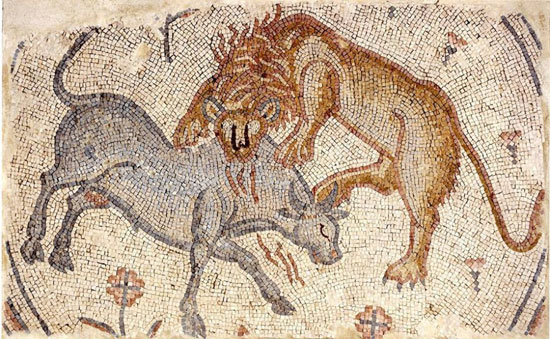 Подни мозаик описује борбу између величанствених бића, лава и вола, Трансјордан (регион), око 475-525. године