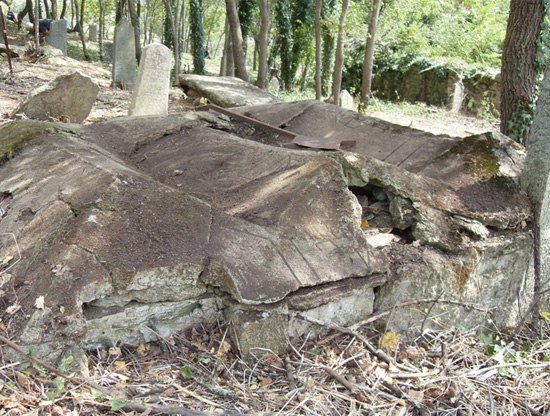 Слика 8. Овде су сахрањена заједно три ратна друга – Локација Скочивир