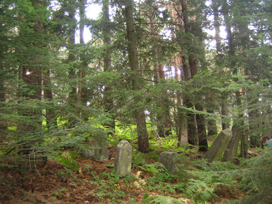 Слика 1. Стање српског војничког гробља које никад није одржавано