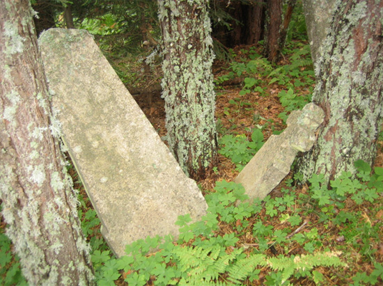 Слика 2. Приказ појединачних нагробних споменика