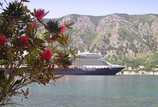 Цвијет калистемон и брод крузер: Дођеш, платиш, имаш (Фото: Н. М.)