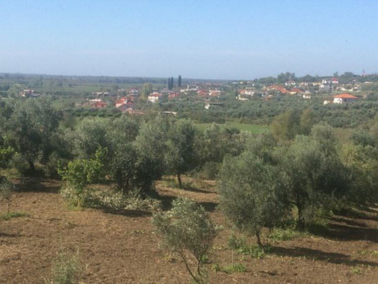 lazovic-u-albaniji3