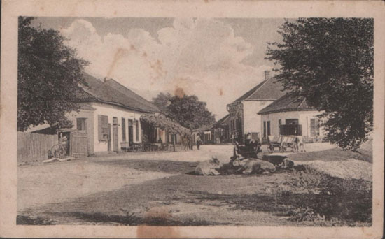 Бачина, родно село заборављеног хероја