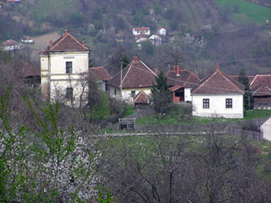 Драгијевица