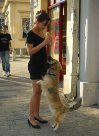 Ана Радмиловић (1974-2017)