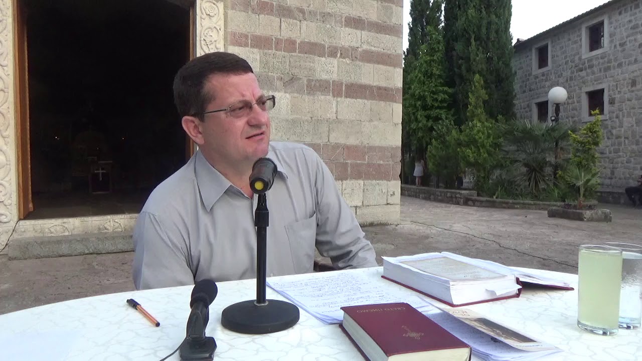 Павле Ботић: Двор или манастир - Стање ствари